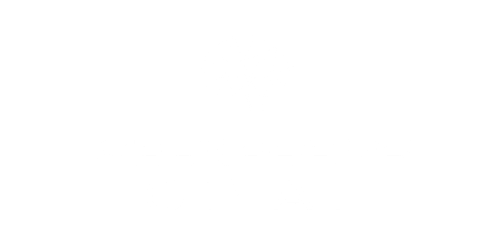 GEENESSYS OP AI